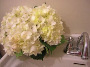 Flowers - Hydrangeas5.jpg